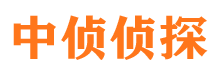 田阳市私家侦探